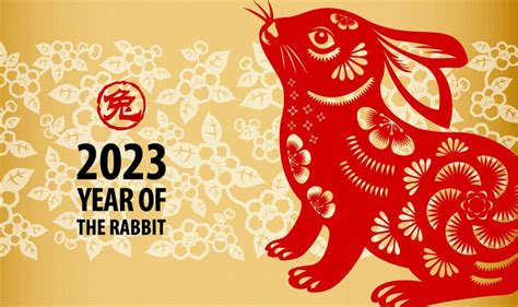 lv year of the rabbit|year of the rabbit 2024 predictions.